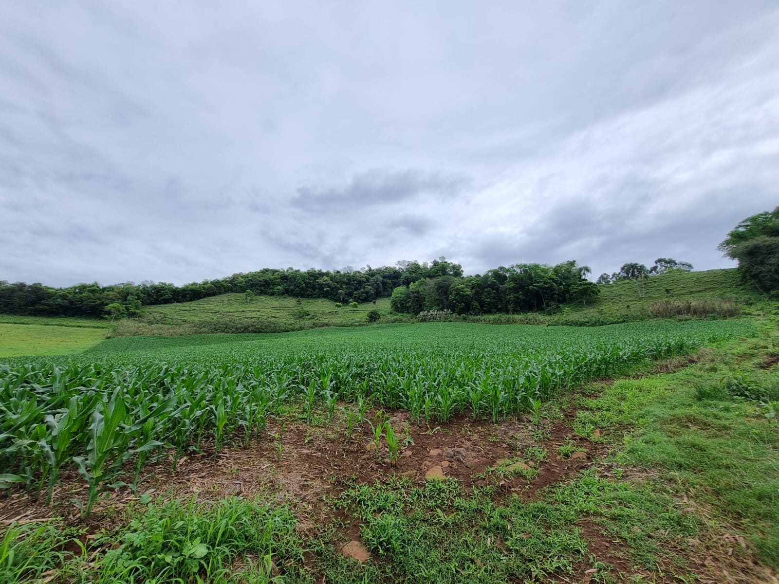 WhatsApp Image 2025-10-09 at 16.22.06