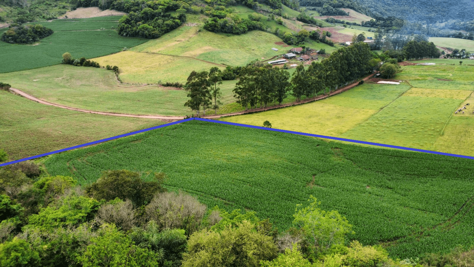 WhatsApp Image 2025-10-09 at 16.22.32 (2)edit