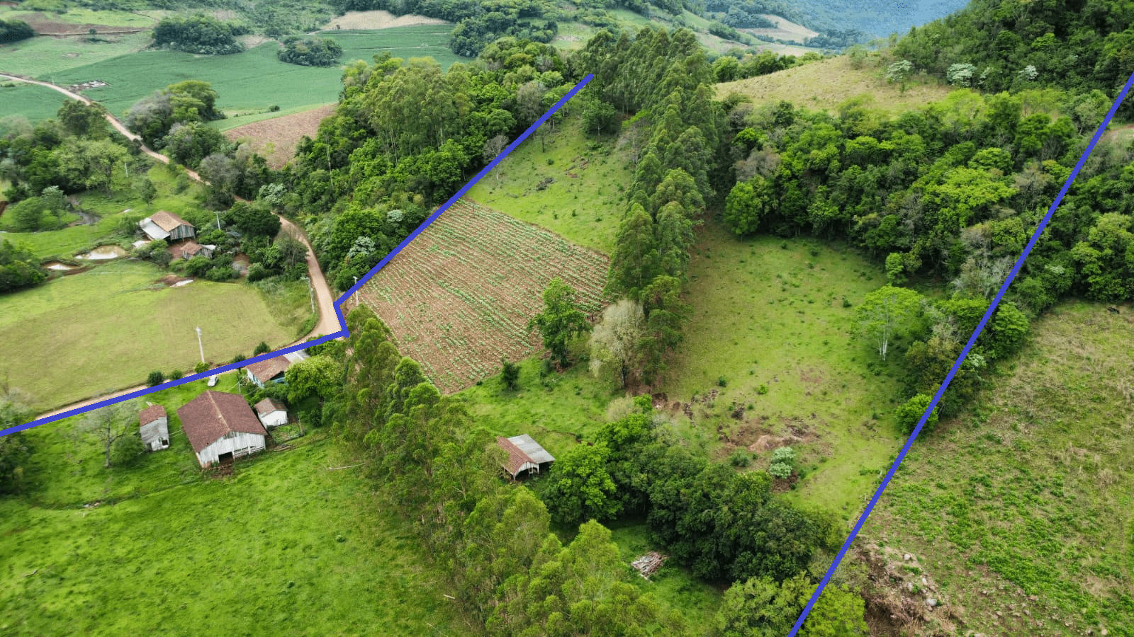 WhatsApp Image 2025-10-09 at 16.22.32 (3)edit