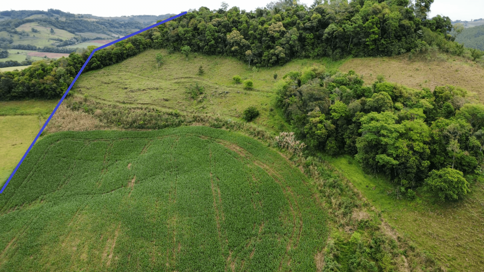 WhatsApp Image 2025-10-09 at 16.22.35edit