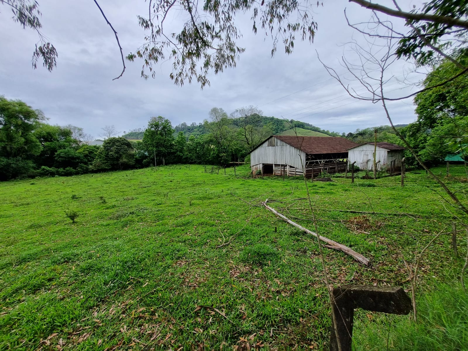 WhatsApp Image 2025-10-09 at 16.22.40 (1)