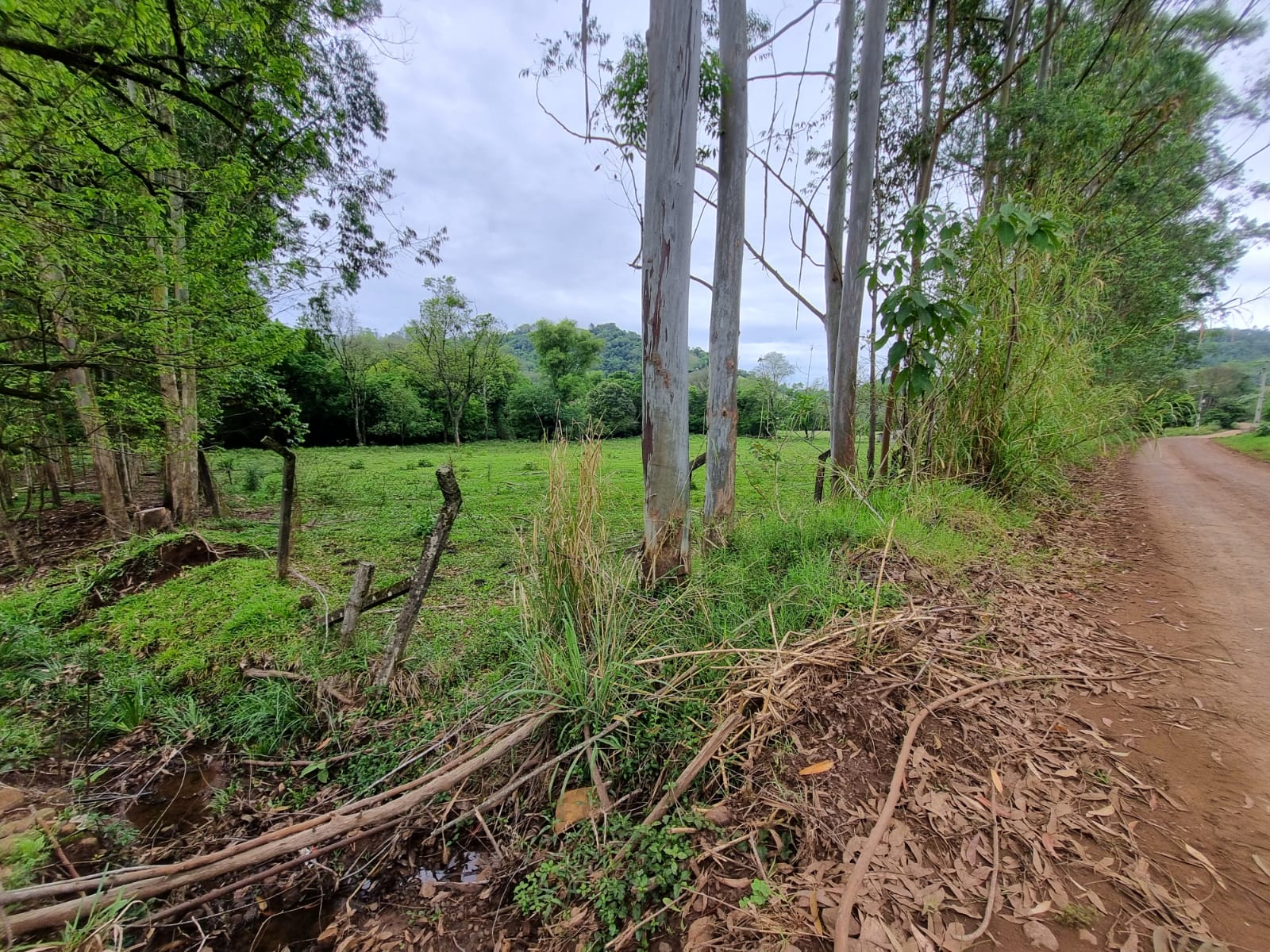 WhatsApp Image 2025-10-09 at 16.22.41 (1)