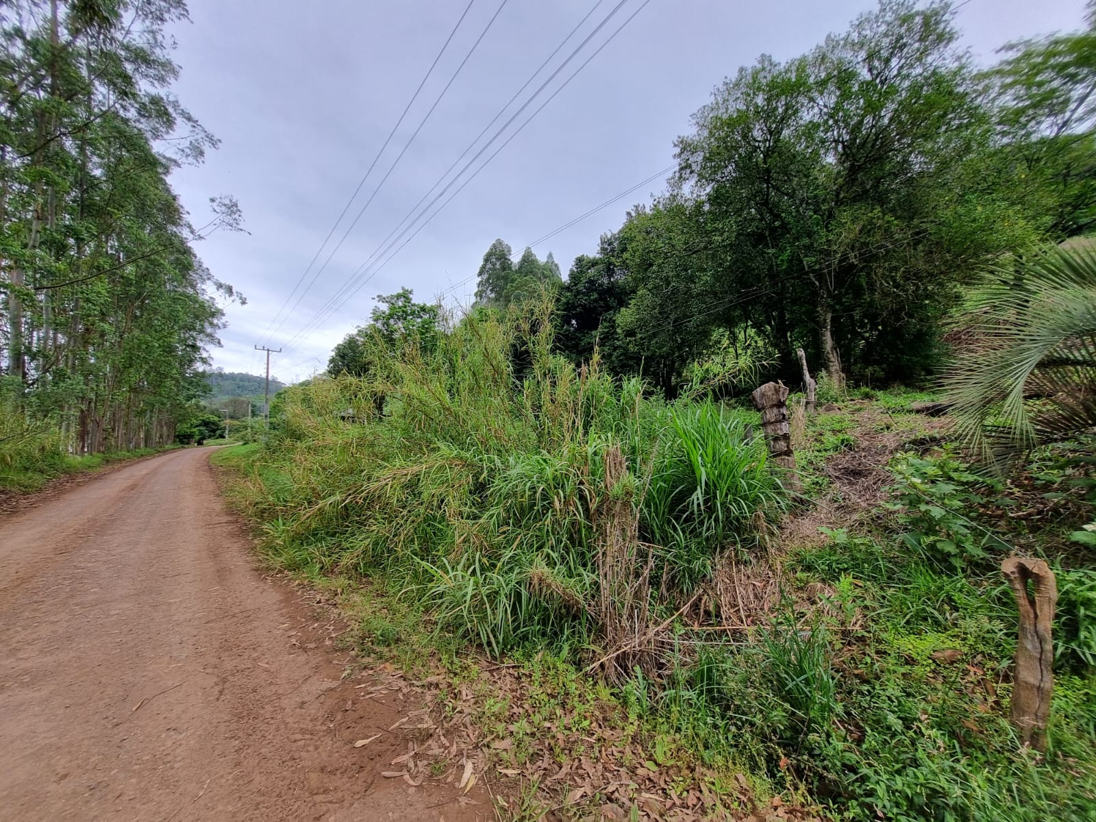 WhatsApp Image 2025-10-09 at 16.22.41