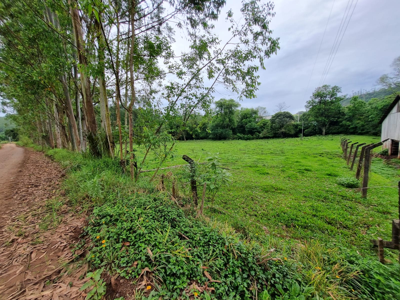 WhatsApp Image 2025-10-09 at 16.22.42 (1)