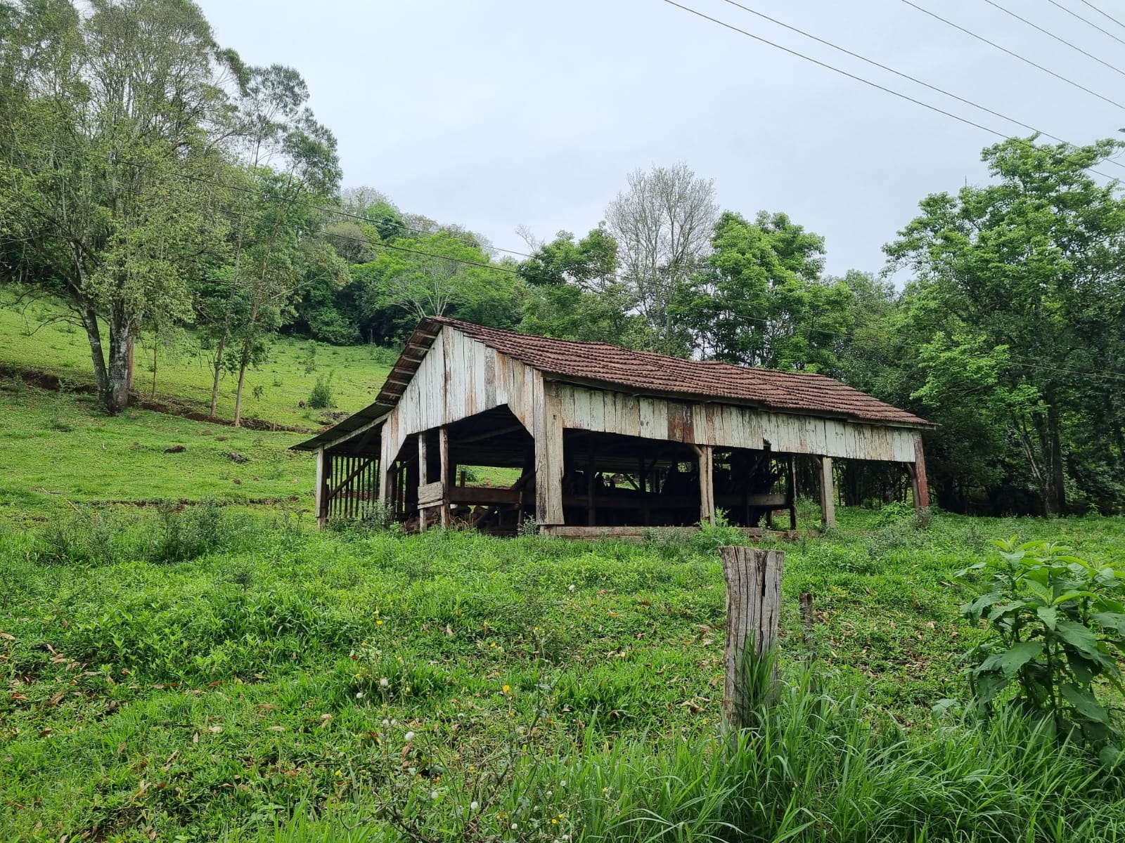 WhatsApp Image 2025-10-09 at 16.22.42