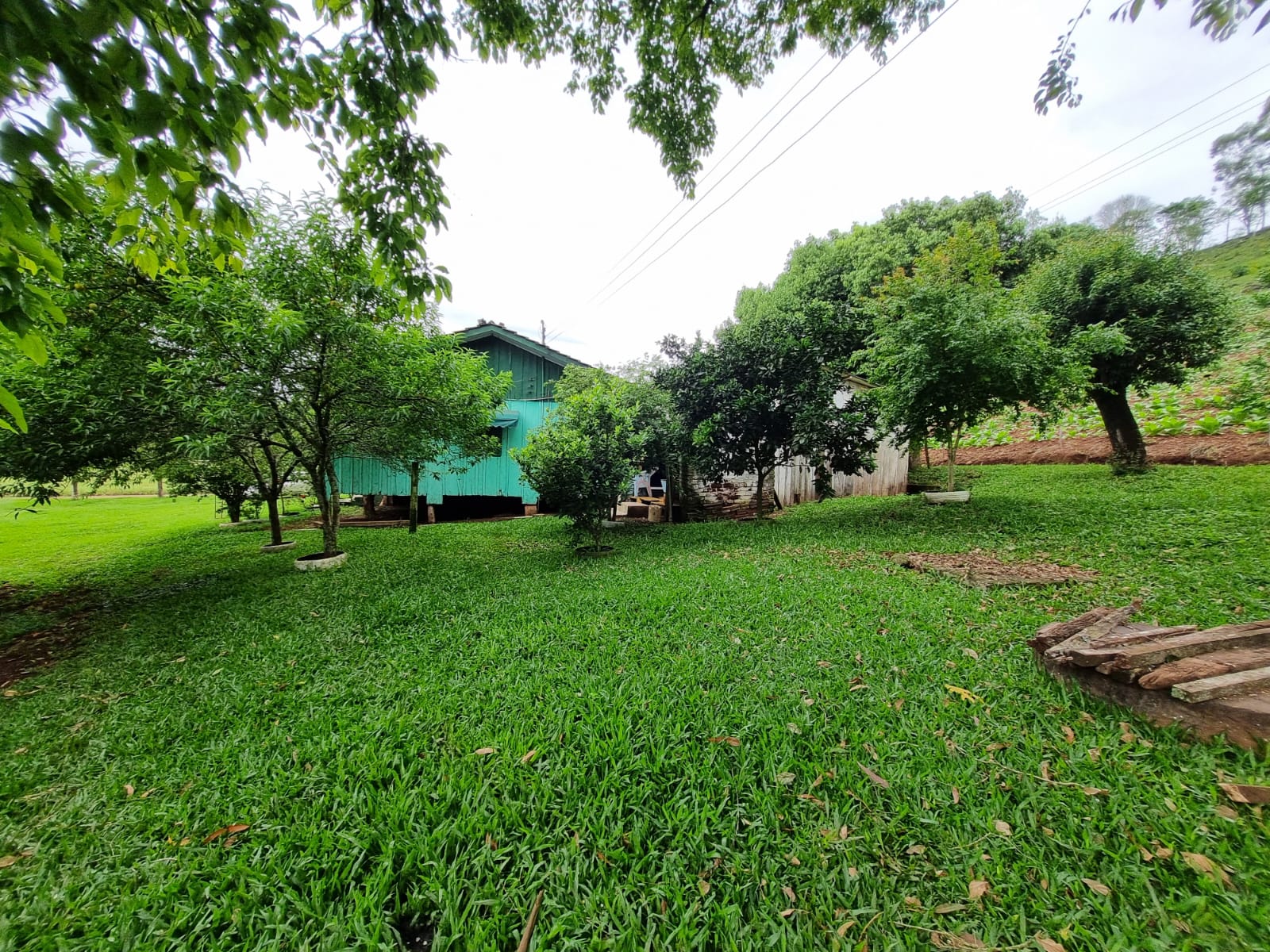 WhatsApp Image 2025-10-09 at 16.22.43 (2)