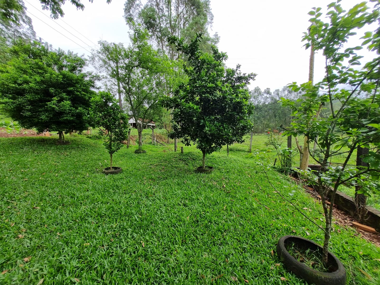 WhatsApp Image 2025-10-09 at 16.22.44