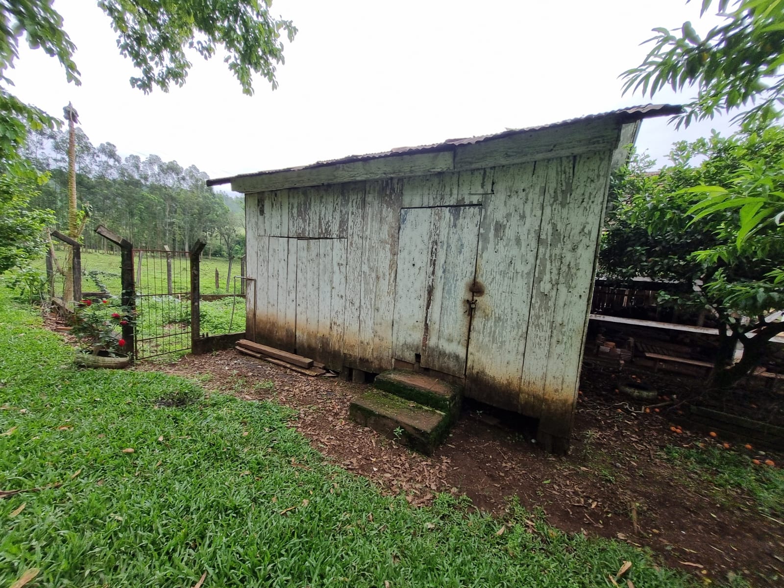 WhatsApp Image 2025-10-09 at 16.22.45 (1)