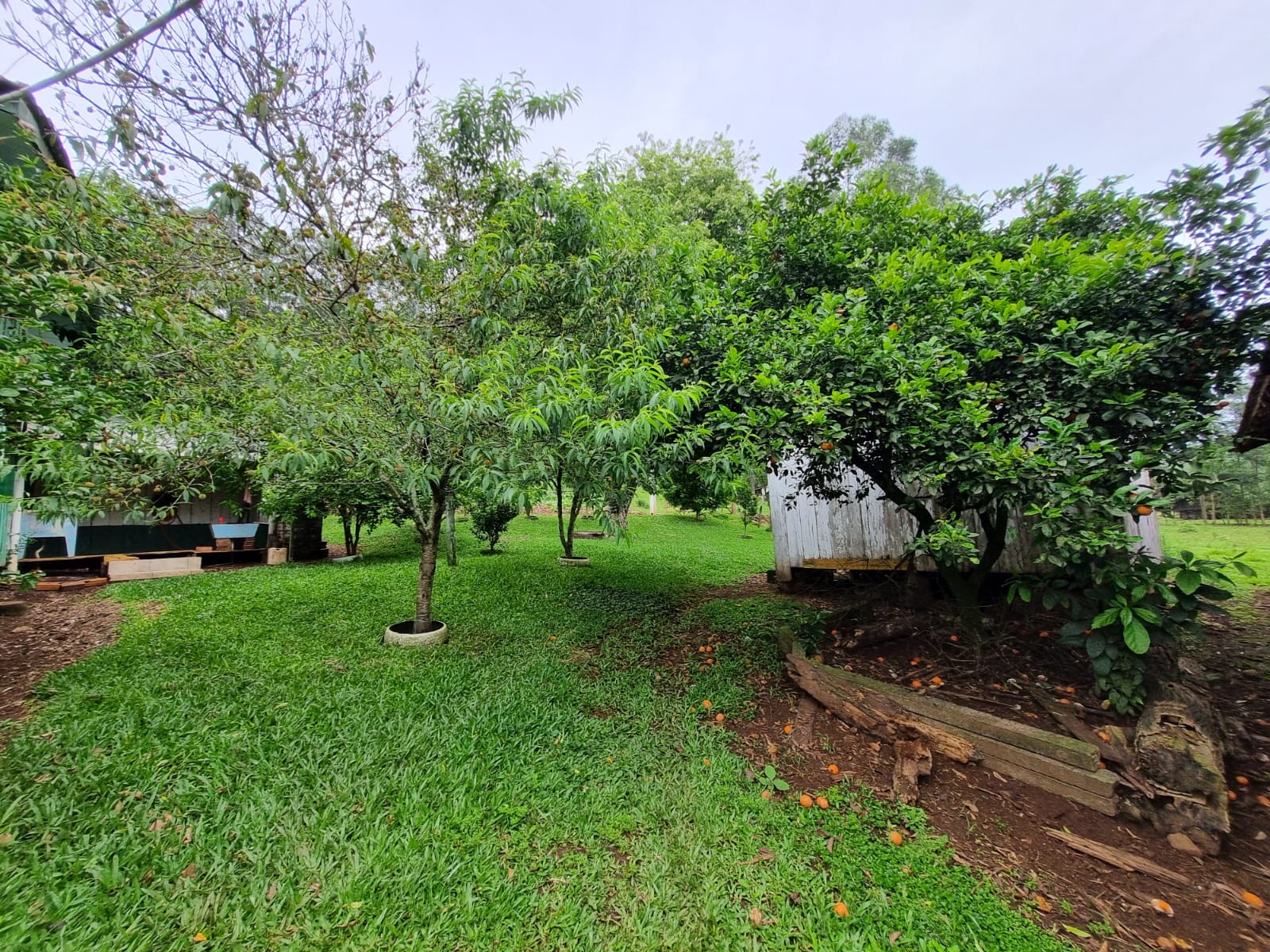 WhatsApp Image 2025-10-09 at 16.22.45 (2)