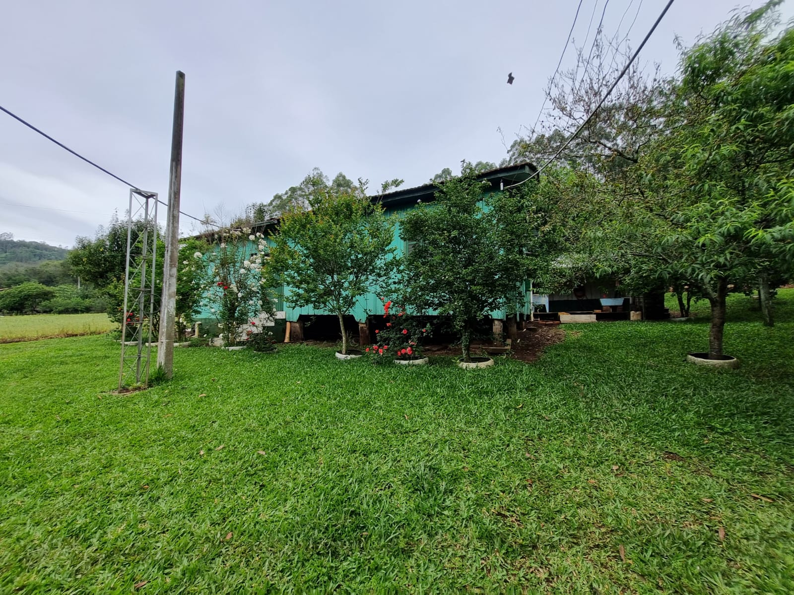 WhatsApp Image 2025-10-09 at 16.22.45 (3)