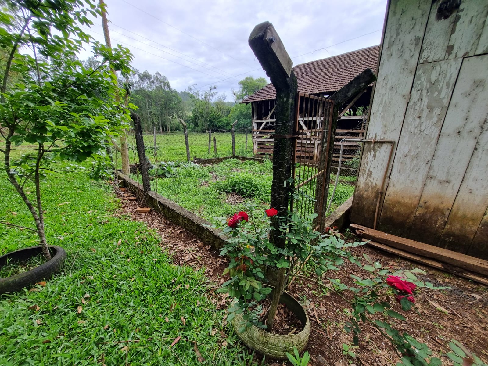 WhatsApp Image 2025-10-09 at 16.22.45