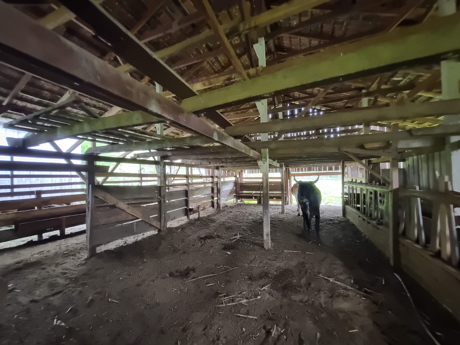 WhatsApp Image 2025-10-09 at 16.22.46 (1)