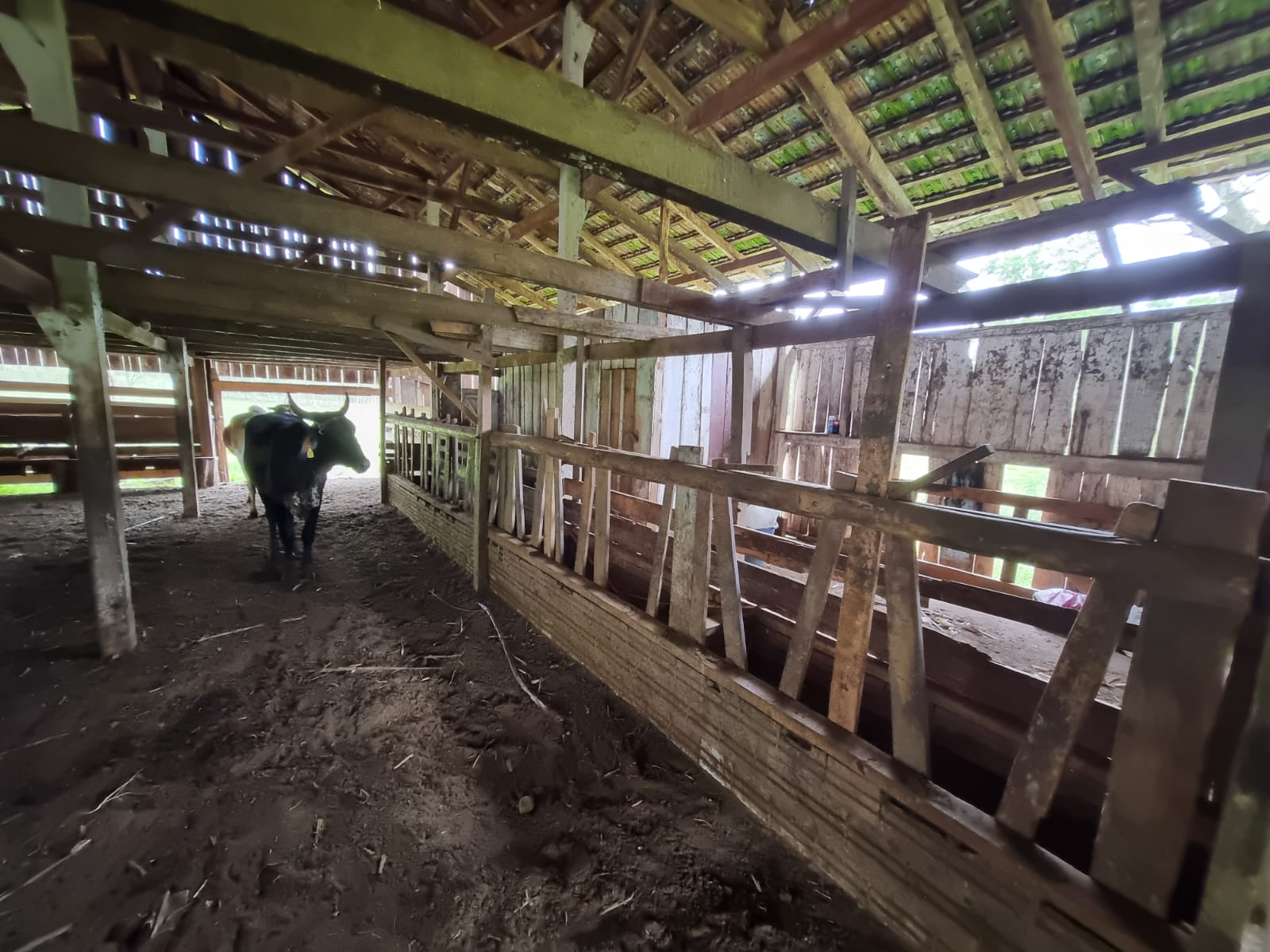 WhatsApp Image 2025-10-09 at 16.22.46