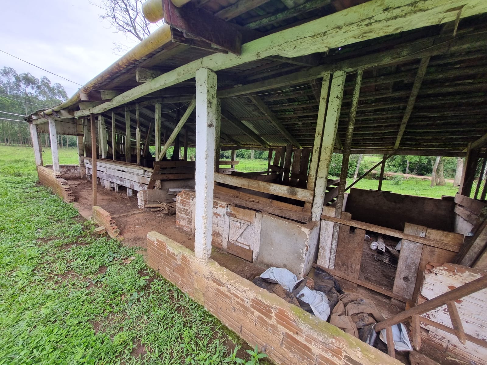 WhatsApp Image 2025-10-09 at 16.22.47 (2)