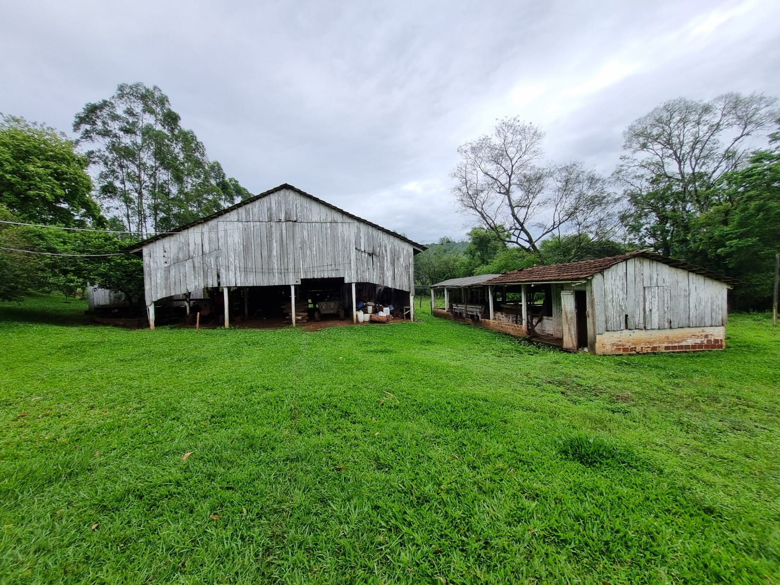 WhatsApp Image 2025-10-09 at 16.22.48 (1)