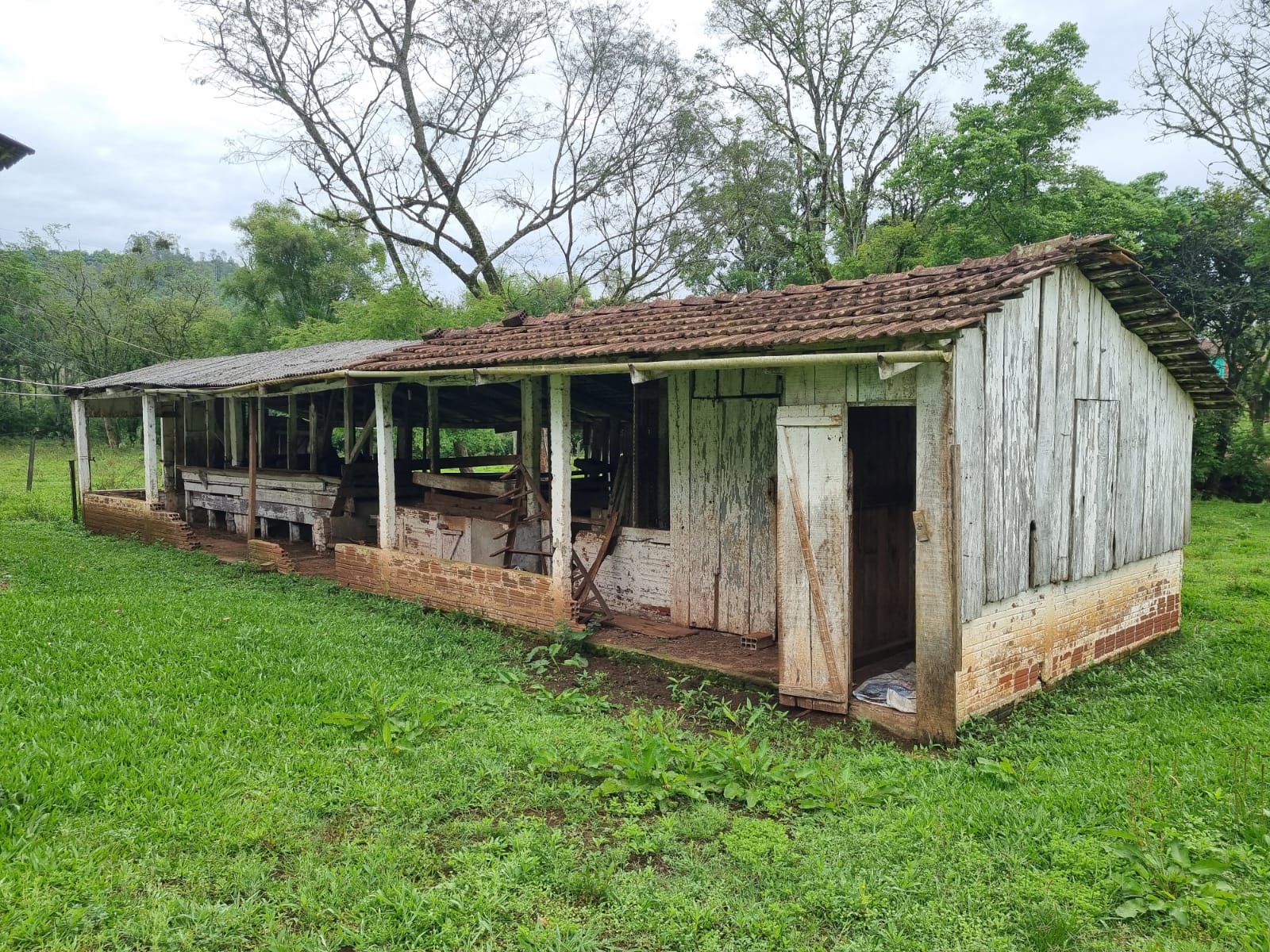 WhatsApp Image 2025-10-09 at 16.22.49 (1)