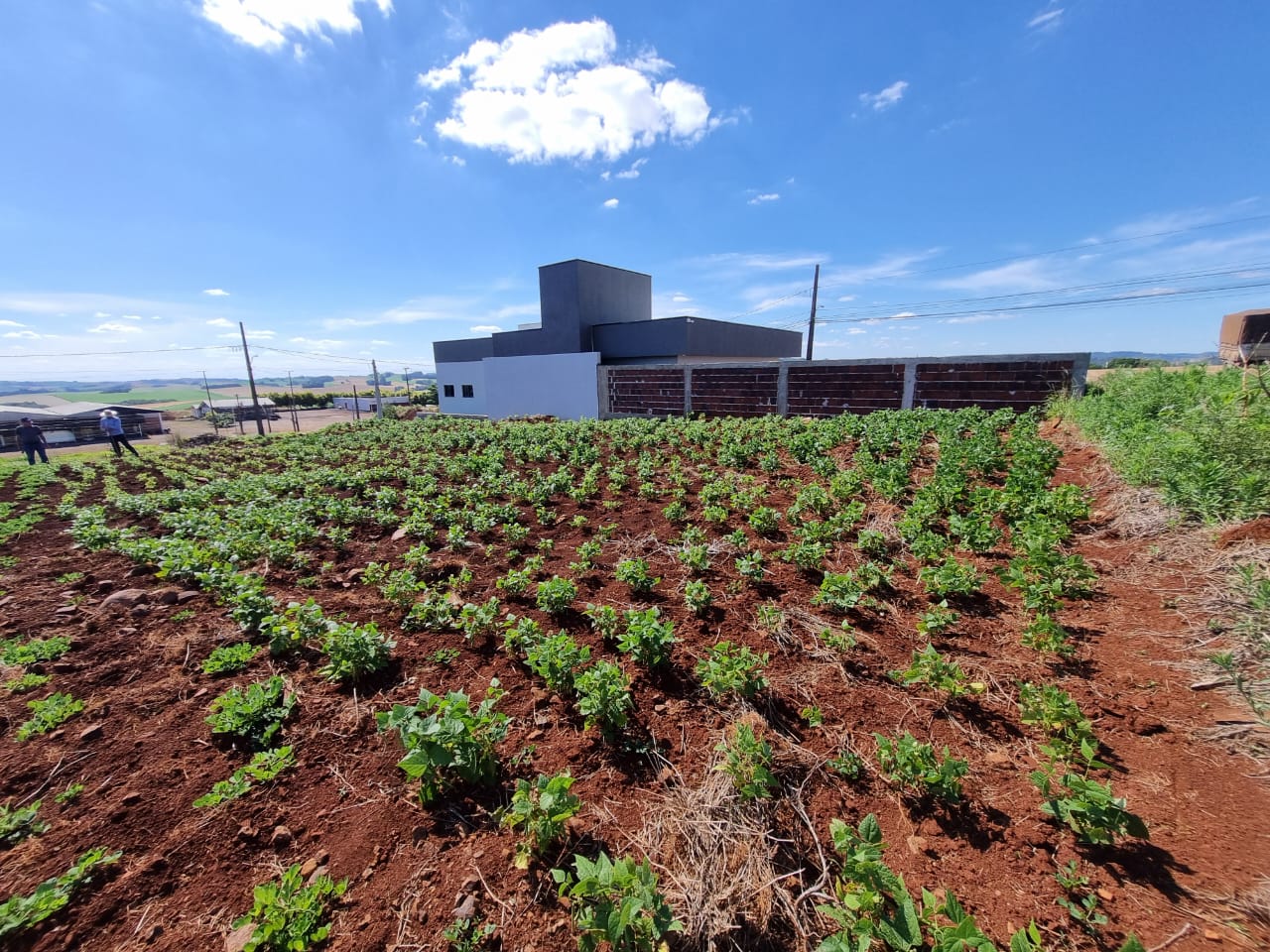 WhatsApp Image 2025-11-25 at 14.53.59