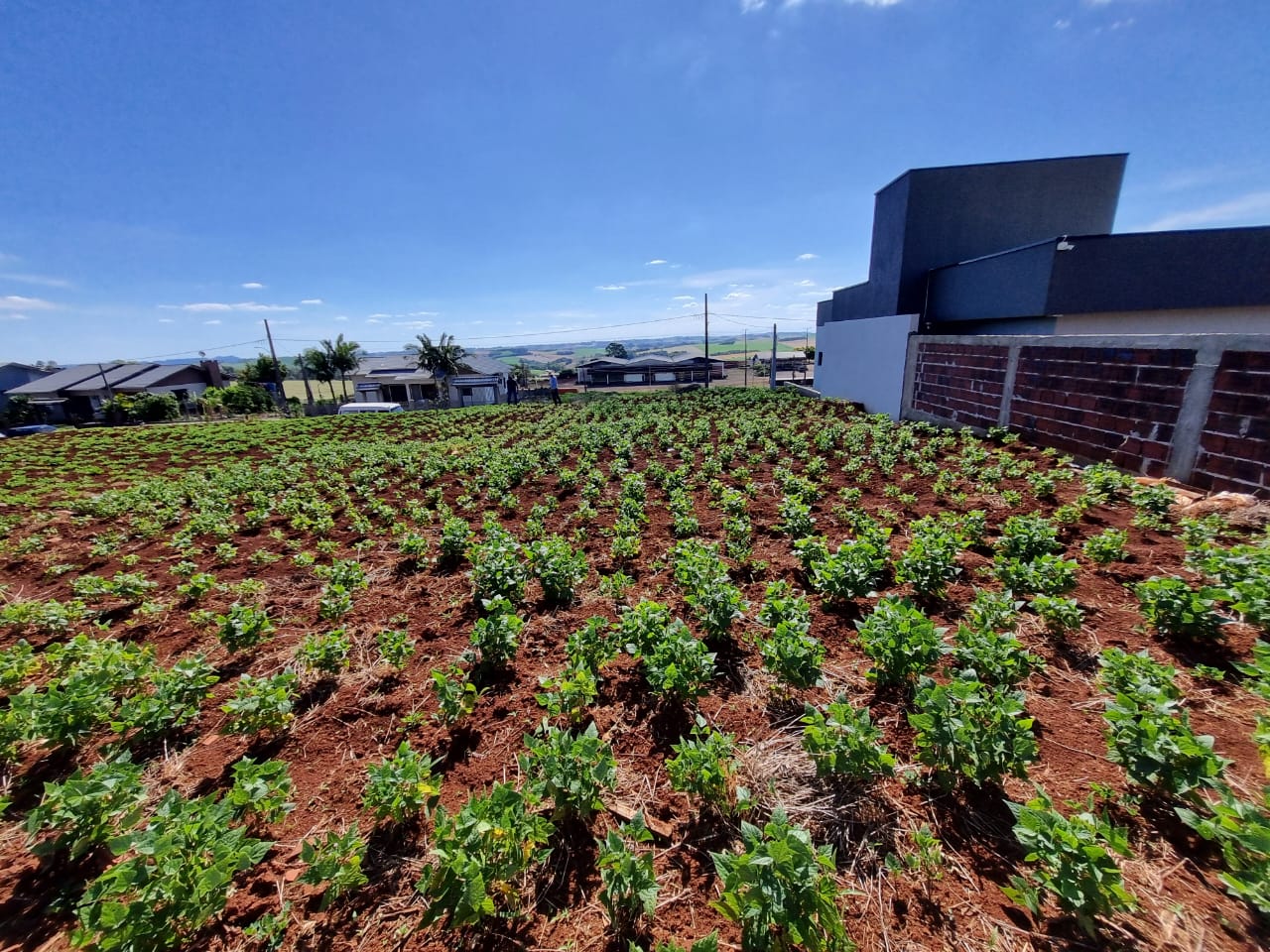 WhatsApp Image 2025-11-25 at 14.54.00